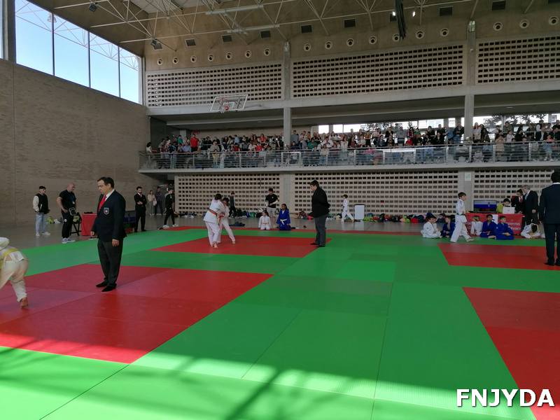 Juegos deportivos de Navarra - BENJAMÍN. RESULTADOS